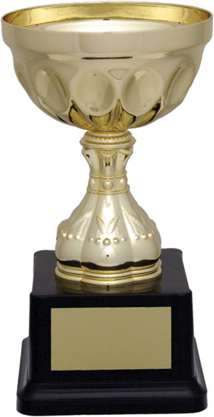 Arlington Cup